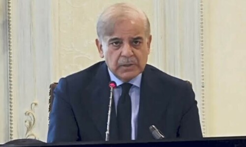 No one will be allowed to create instability, vows PM Shehbaz