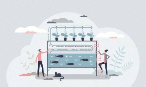 Shrimp farming — unproductive lands put to use Shrimp farming — unproductive lands put to use