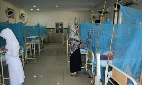 KP authorities pin hopes on winter for drop in dengue cases KP authorities pin hopes on winter for drop in dengue cases