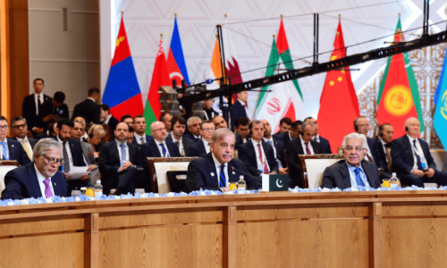 Traders, analysts condemn PTI’s protest call amid SCO summit Traders, analysts condemn PTI’s protest call amid SCO summit