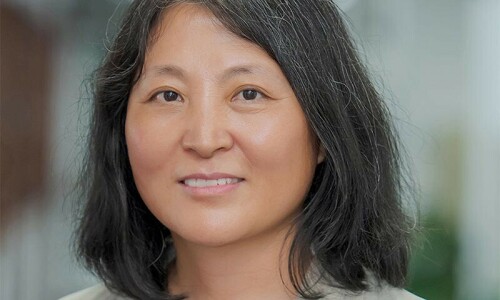 Xiaoqin Fan named ADB&rsquo;s country director for Pakistan