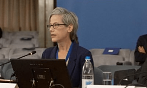 UN rapporteur wants constitutional tweaks reviewed UN rapporteur wants constitutional tweaks reviewed