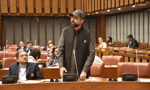 Senate passes bill to set up special courts for overseas Pakistanis