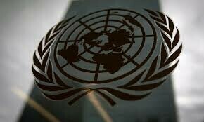Human rights review