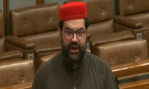Senators berate PTI for opposing amendment Senators berate PTI for opposing amendment