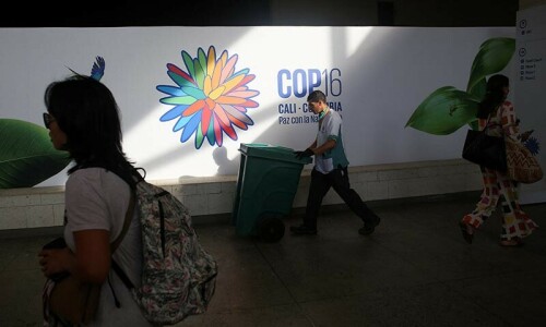 UN biodiversity summit opens under guerrilla threat in Colombia