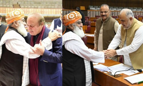 Fazl&rsquo;s star rises in wake of successful amendment