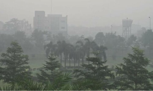 Lahore goes for &lsquo;green lockdown&rsquo; to tackle smog