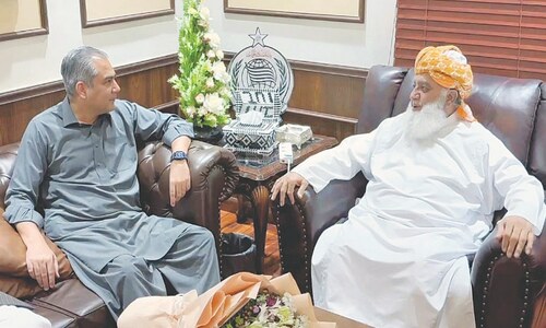 PPP consults PML-Q, ANP on constitutional package