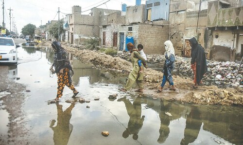 Delayed fumigation drive in Karachi fails to contain vector-borne diseases