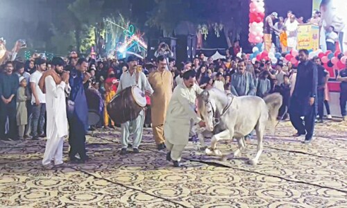 Two-day cultural festival begins at Vehari