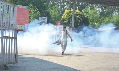 Capital’s rural areas bear the brunt of dengue cases Capital’s rural areas bear the brunt of dengue cases