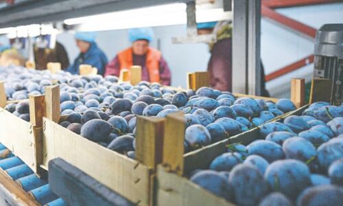 Data points Data points