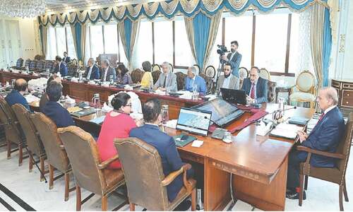 PM Shehbaz thanks PTI-backed MNAs for support on amendment