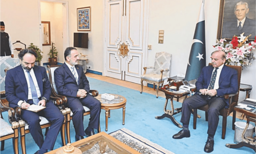 PM Shehbaz to attend Arab Islamic moot before COP29 PM Shehbaz to attend Arab Islamic moot before COP29