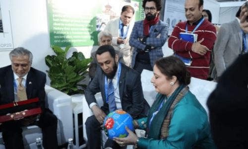 Pakistan unveils adaptation plans to counter floods