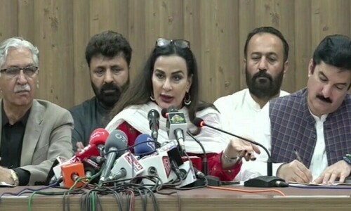 High-powered PPP body to raise &lsquo;unresolved&rsquo; issues