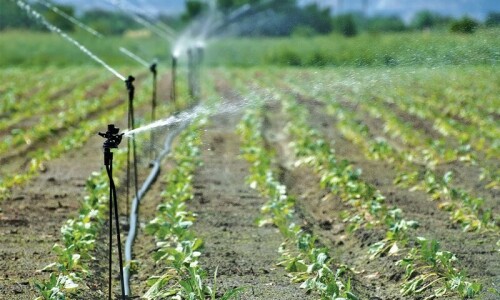 Efficient irrigation &mdash; Pakistan&rsquo;s missed opportunity