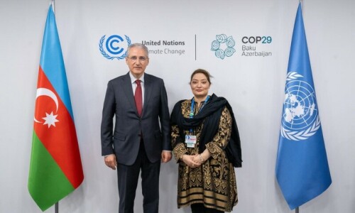 Pakistan ‘punches above its weight’ at COP29 Pakistan ‘punches above its weight’ at COP29