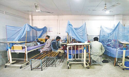 Peshawar registers highest number of cases as dengue remains on prowl Peshawar registers highest number of cases as dengue remains on prowl