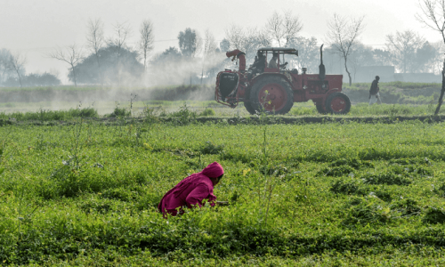 Agriculture: Investing in agricultural human capital Agriculture: Investing in agricultural human capital
