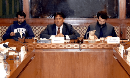 Panel reviews bill to increase Balochistan’s seats in Senate Panel reviews bill to increase Balochistan’s seats in Senate