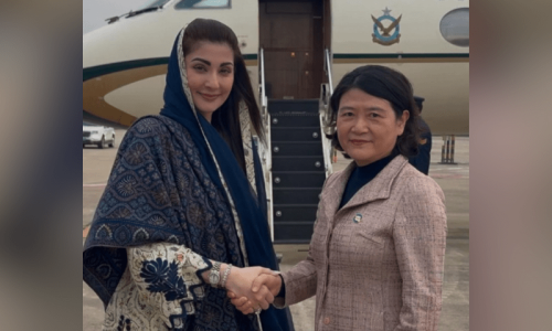 Maryam invites Chinese firms to launch operations in Punjab