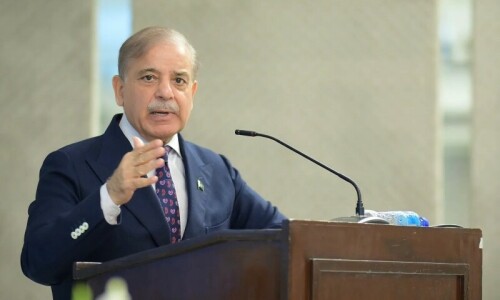 PM Shehbaz to visit Egypt for D8 summit, says foreign office PM Shehbaz to visit Egypt for D8 summit, says foreign office