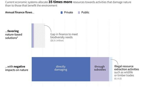 Tackling climate, nature separately risks worsening crises: UN