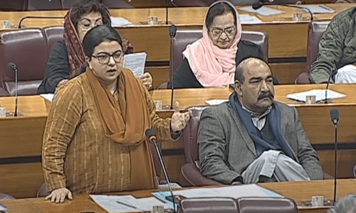 Govt &lsquo;doesn&rsquo;t deny&rsquo; internet challenges as coalition ally PPP assails disruptive measures
