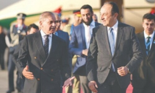 PM reaches Cairo for D-8 moot