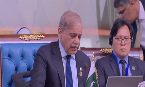 At D-8 Cairo summit, PM Shehbaz says investing in youth crucial for Pakistan&rsquo;s socioeconomic progress