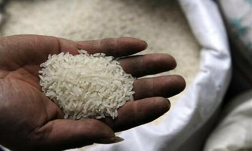Rice-driven food exports jump 20pc Rice-driven food exports jump 20pc