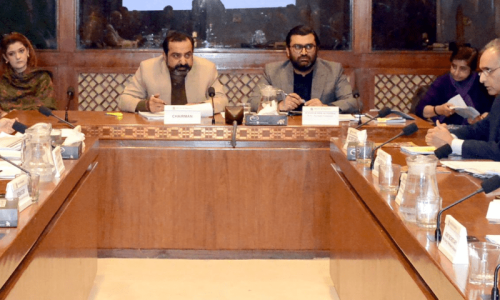Senate panel blames govt for gas crisis Senate panel blames govt for gas crisis