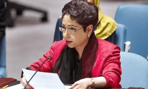 US sanctions won’t impact Pakistan’s missile programme: ex-envoy US sanctions won’t impact Pakistan’s missile programme: ex-envoy