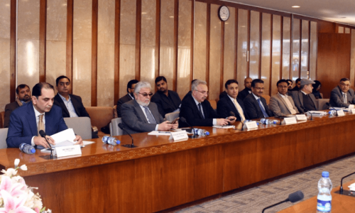 NA panel seeks roadmap to boost exports