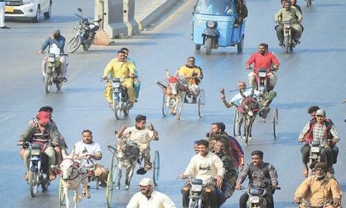Donkey cart race held Donkey cart race held