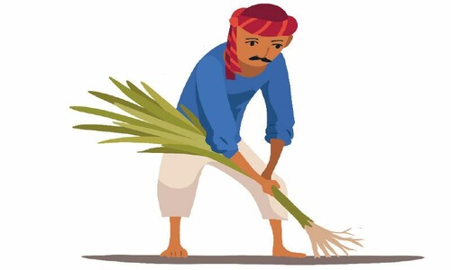 Agriculture: Policy whiplash to follow farmers into the new year