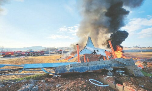 Fiery plane crash kills 179 in South Korea