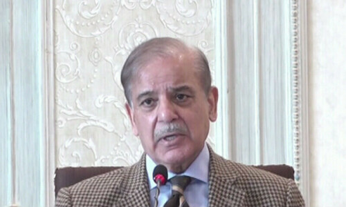 PM Shehbaz lauds economic progress, stresses need for export-led growth PM Shehbaz lauds economic progress, stresses need for export-led growth