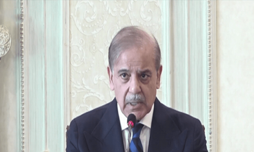 Economic progress dependent on &lsquo;complete peace&rsquo; amid security challenges: PM Shehbaz
