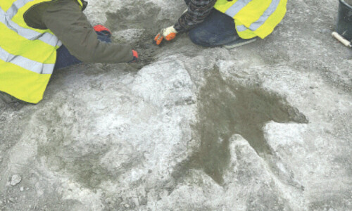 Jurassic highway: hundreds of dinosaur footprints found in UK quarry