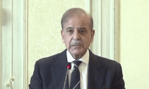 Govt committed to eliminating TTP to ensure socio-economic development: PM Shehbaz Govt committed to eliminating TTP to ensure socio-economic development: PM Shehbaz