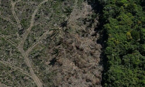 Brazil says 2024 was its hottest year on record