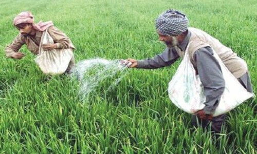 Govt sees price stability amid ample fertiliser supplies Govt sees price stability amid ample fertiliser supplies