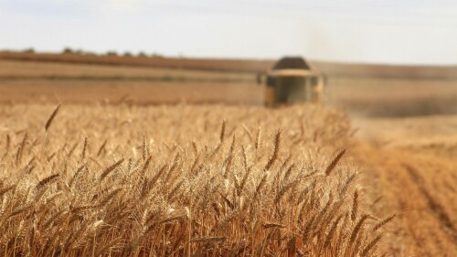 Innovation in food practices to increase exports