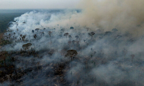 2024 was the first year above 1.5ºC of global warming, scientists say 2024 was the first year above 1.5ºC of global warming, scientists say