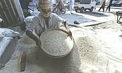 Govt asks rice exporters to focus on quality Govt asks rice exporters to focus on quality