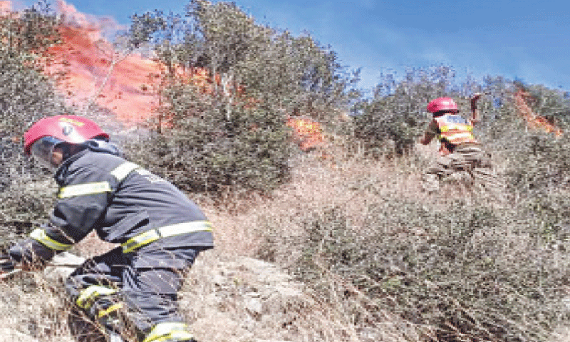 Waziristan forest fire controlled after two days Waziristan forest fire controlled after two days