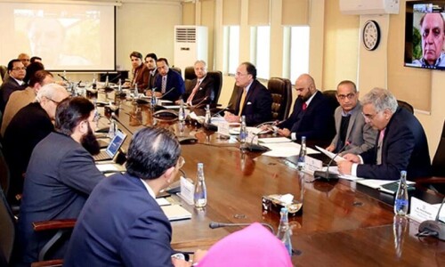 Govt plans $250 million &lsquo;green fund&rsquo;